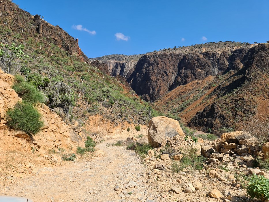 Drumuri Socotra