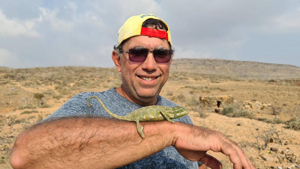 Cameleon