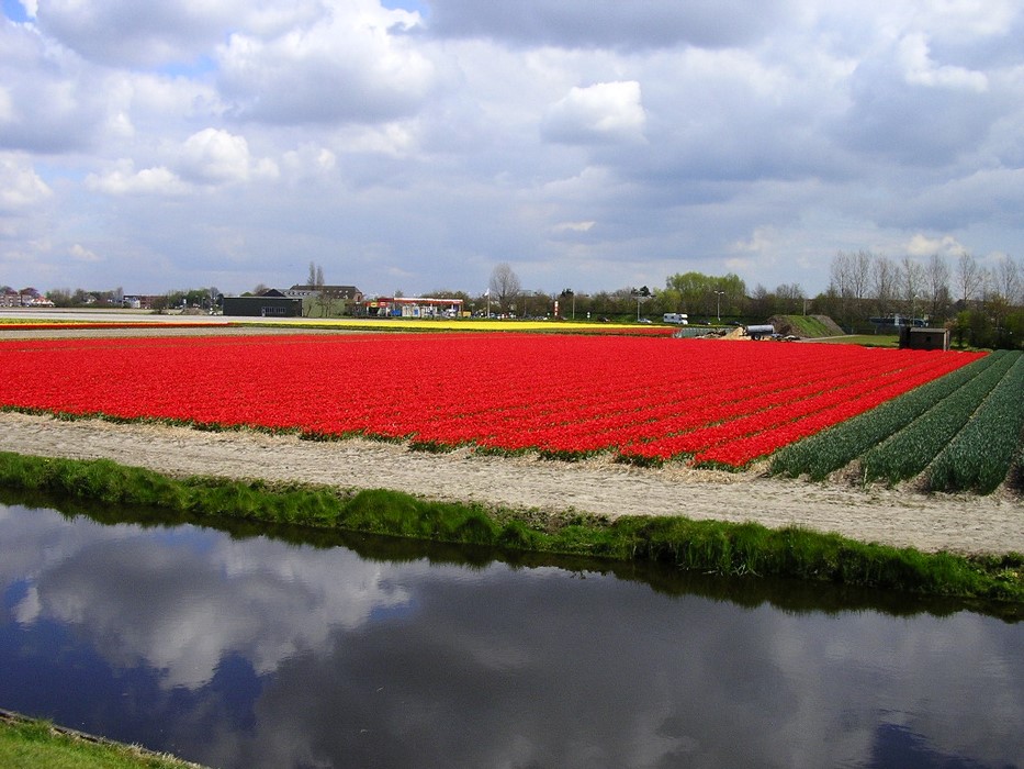 Keukenhof