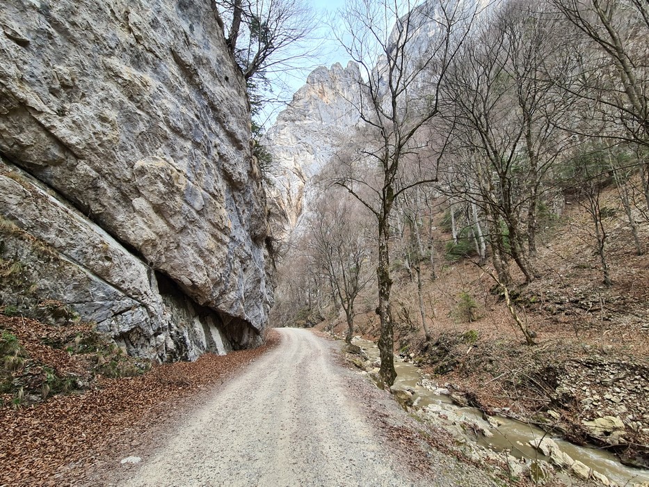 Cheile Rasnoavei