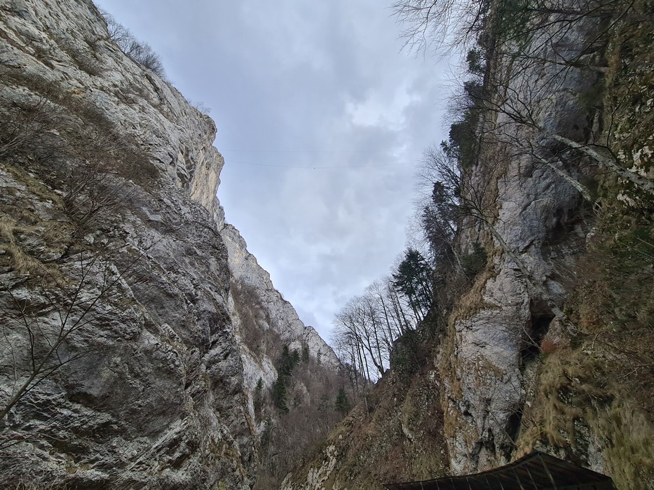 Bungee Jumping Rasnov