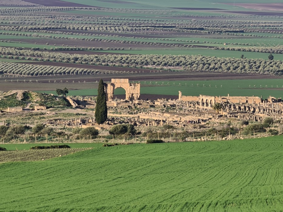 Volubilis