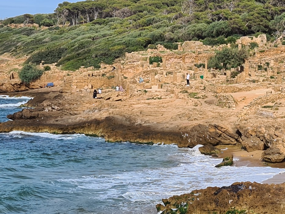 Tipaza