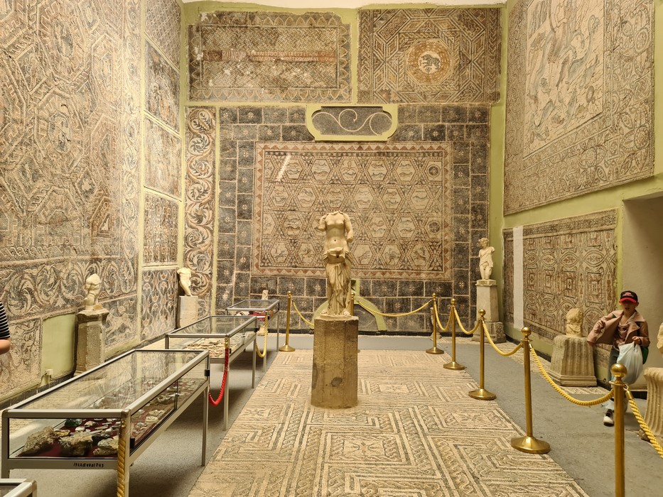 Camera acoperita in Mozaic