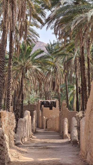Heritage Trail Al Ula