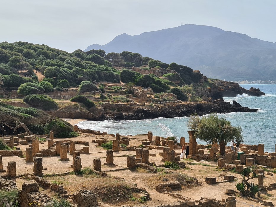 Tipaza