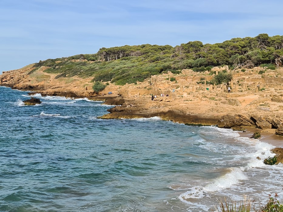 Tipaza port