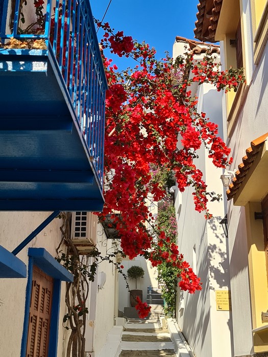 Strazi Skiathos