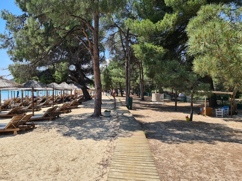 Plaja Koukounaries