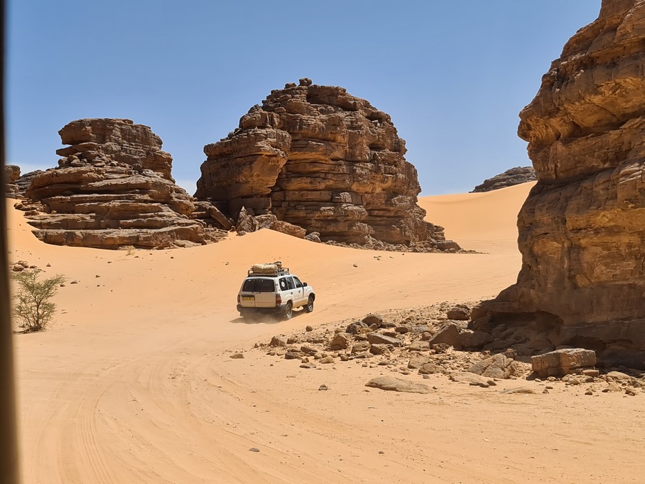 Prin desert