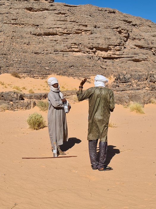 Apa in desert