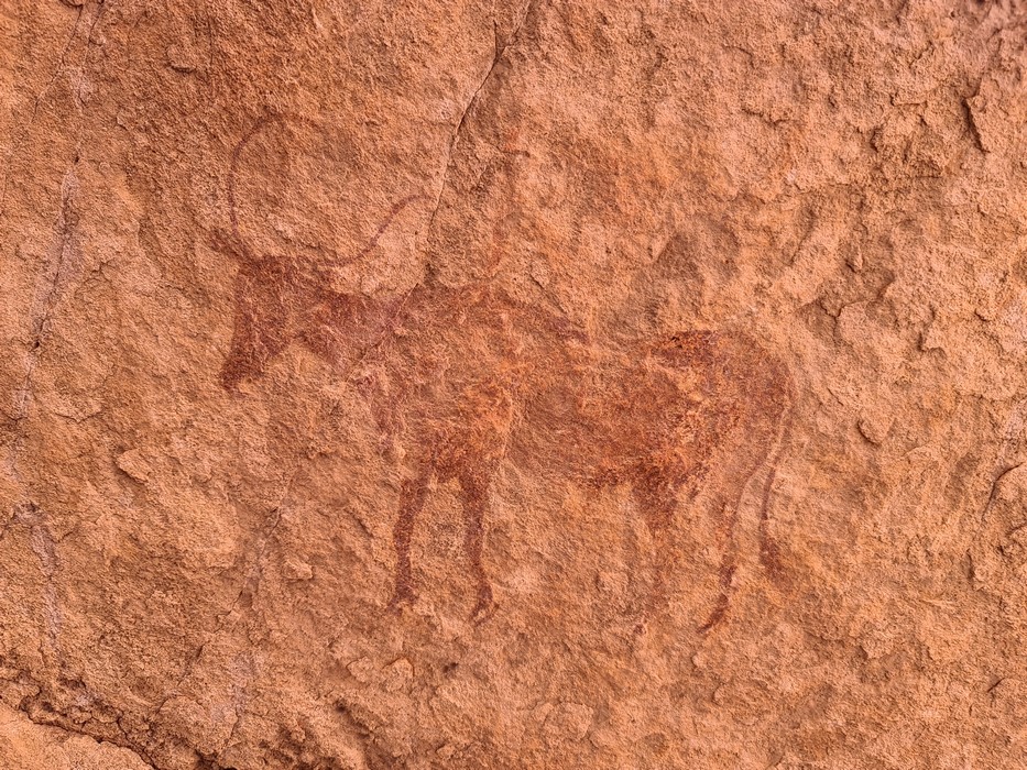 Picturi rupestre Sahara