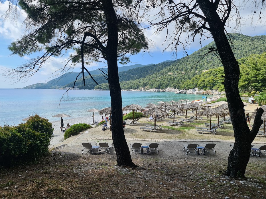 Kastani beach Skopelos