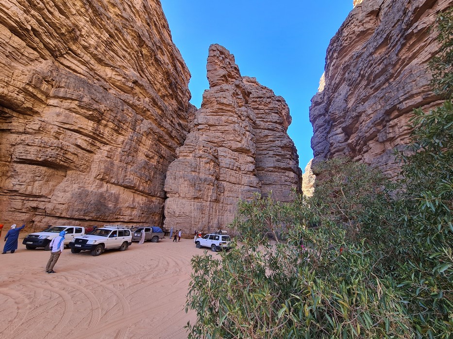 Stanci desert