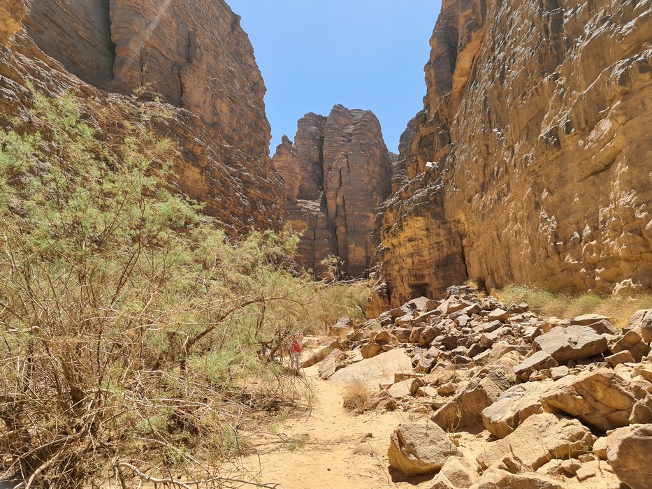 Trekking oasis