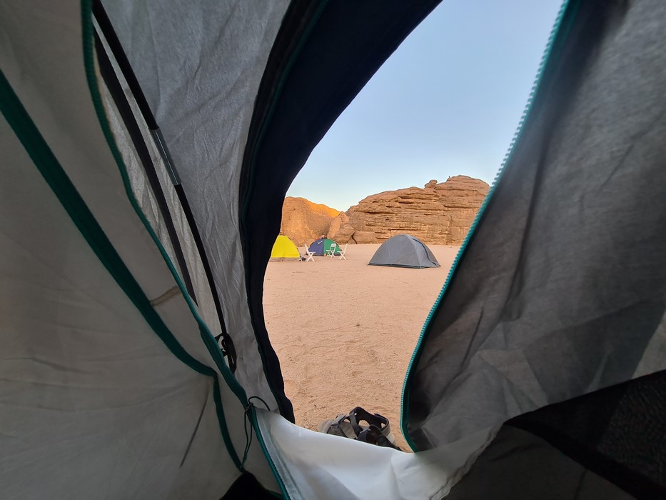 Trezirea in desert