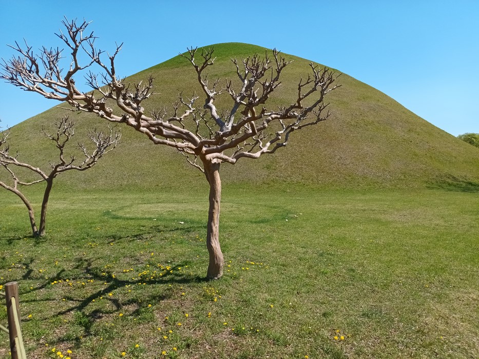 Gyeongju complexul de morminte Daereungwon