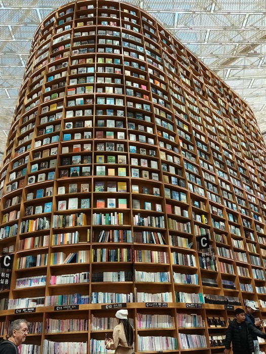 . Seoul biblioteca starfield