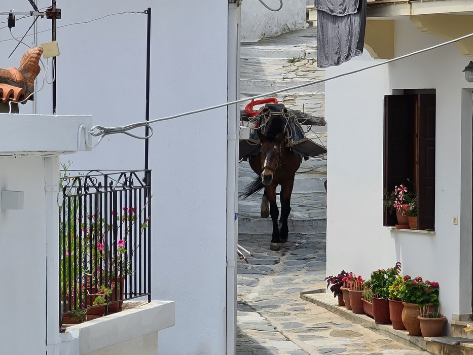 Cal Skopelos