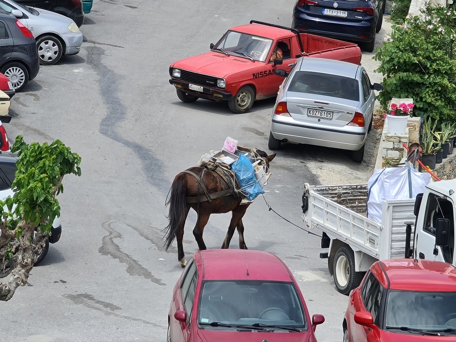 Transport cu calul in Skopelos