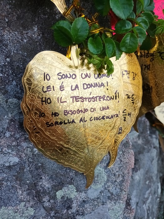 Busan pomelnic italian la templul Haedong Yonggungsa