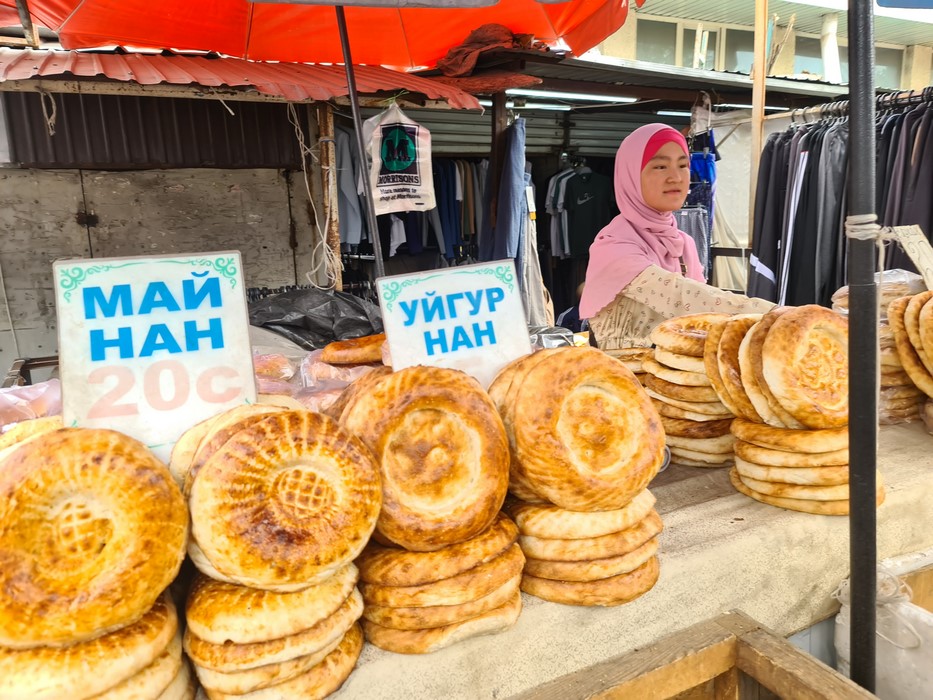 Paine Bishkek