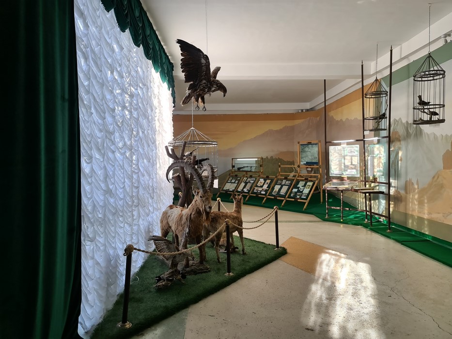 Muzeu Karakol