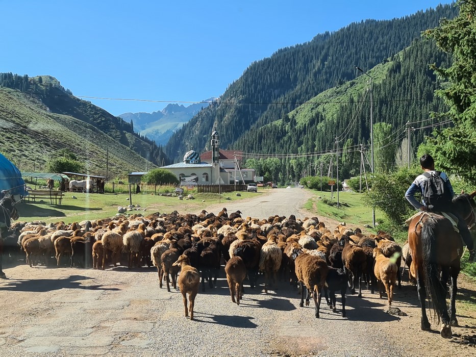 Turma Kyrgyzstan