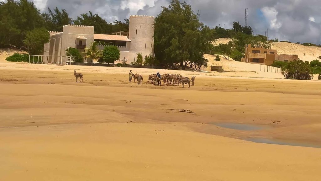 Dune Lamu
