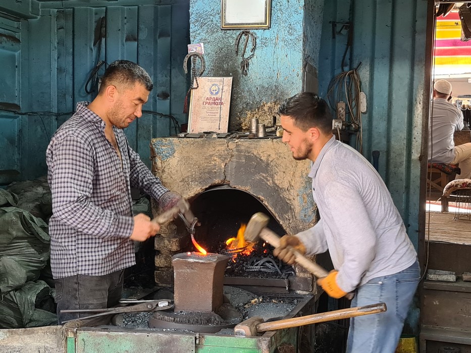 Producatori potcoave