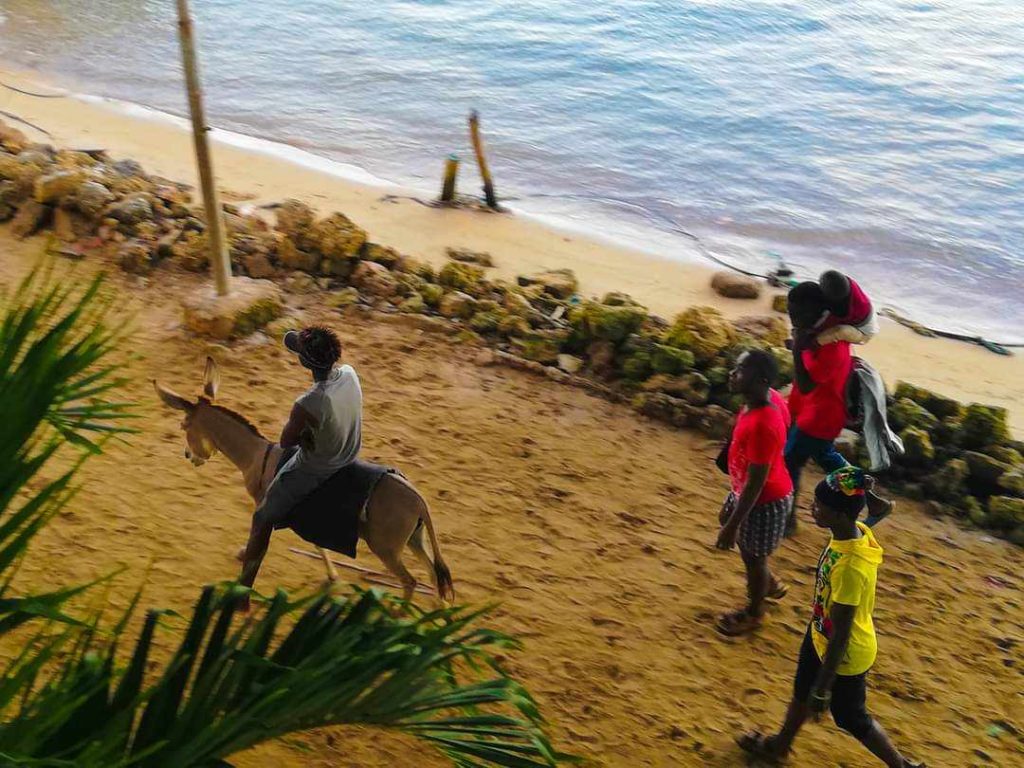 Magari in Lamu