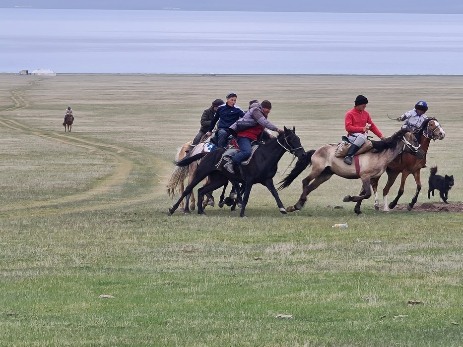 Buzkashi