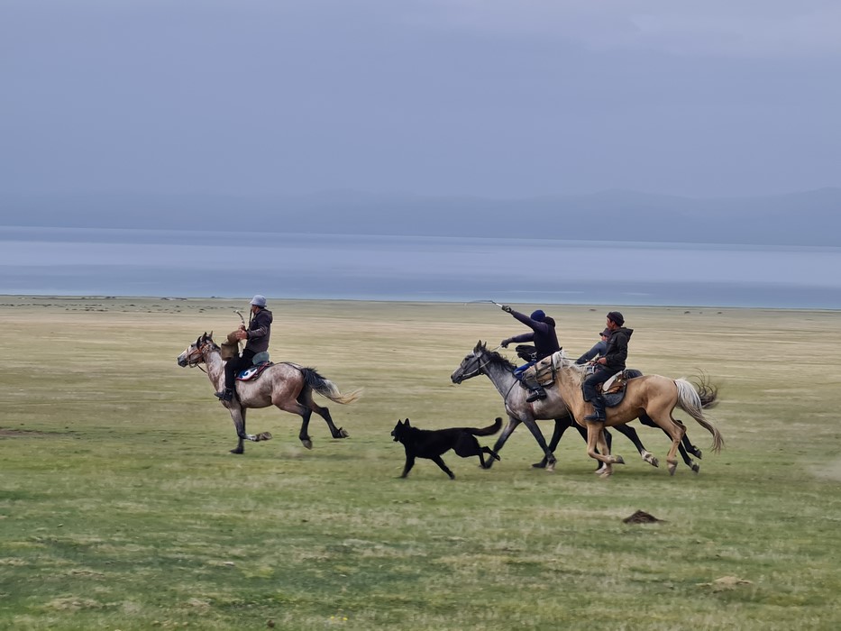 Contraatac buzkashi