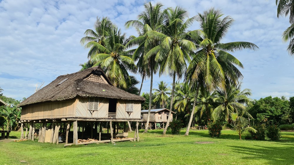 Case Papua Noua Guinee