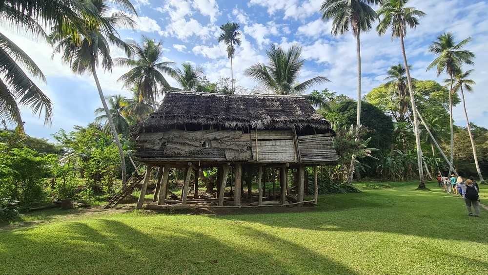 Sat Papua Noua Guinee