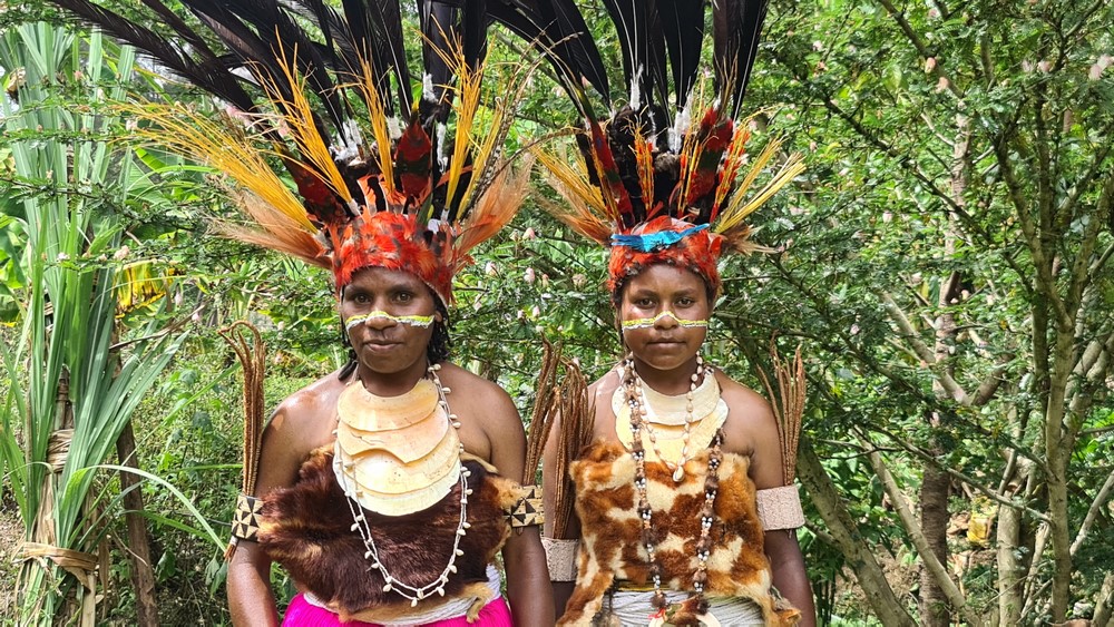 Costum regal Papua
