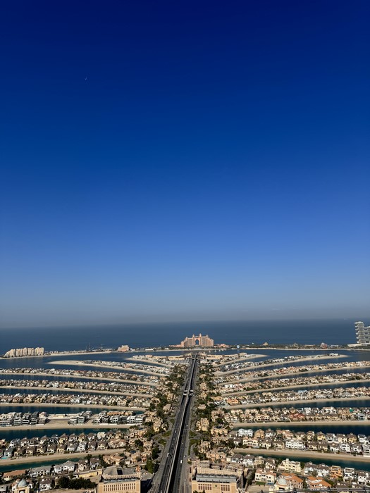 The View at the Palm