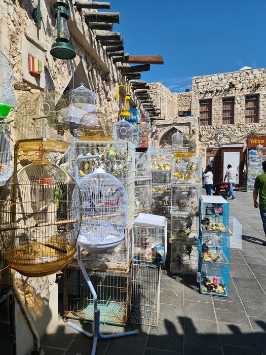 Piata de pasari Doha
