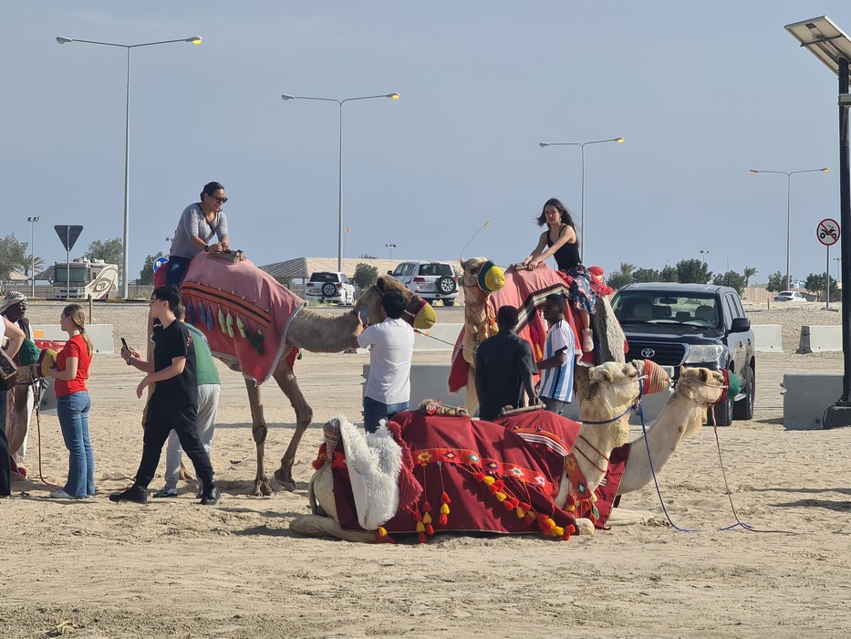 Camile Qatar