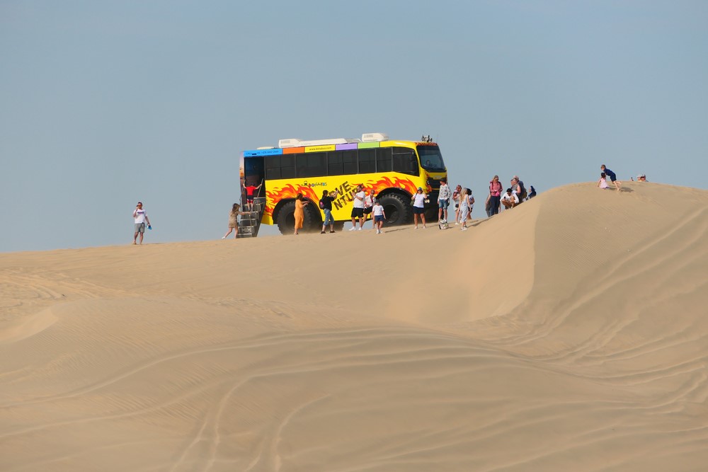 Monster bus Qatar