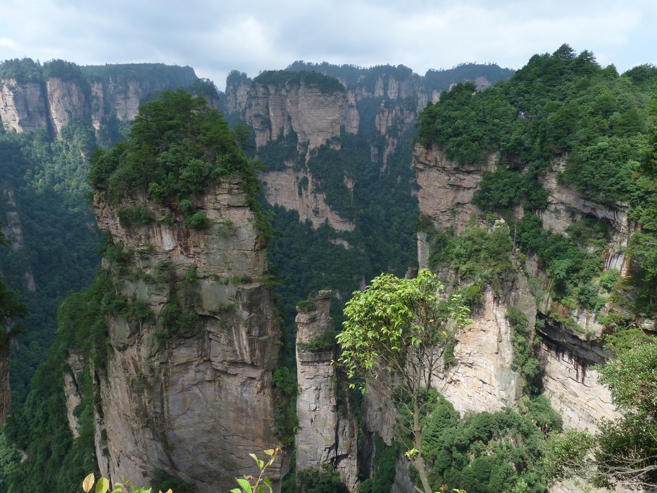 Avatar National Park