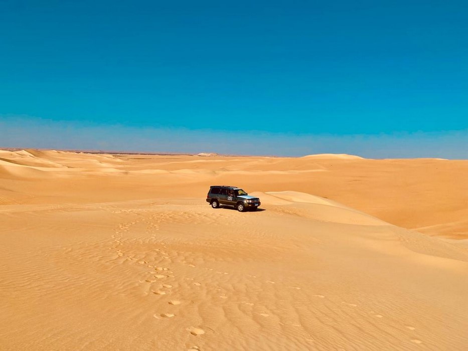 Desert Safari