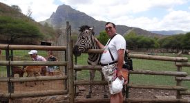 Mangai o zebra