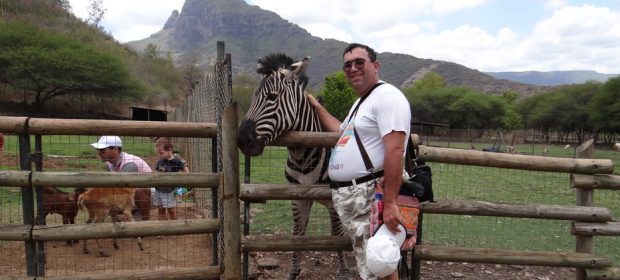 Mangai o zebra