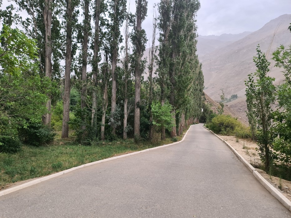 Gradina botanica Pamir