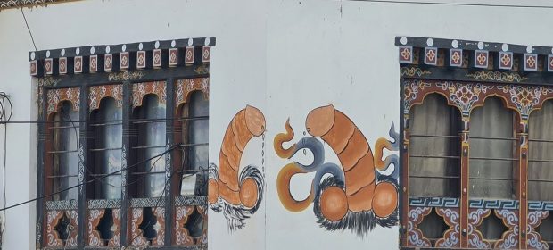 Penis pe cladire
