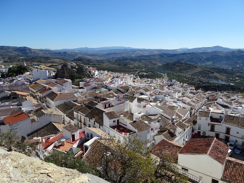 Olvera