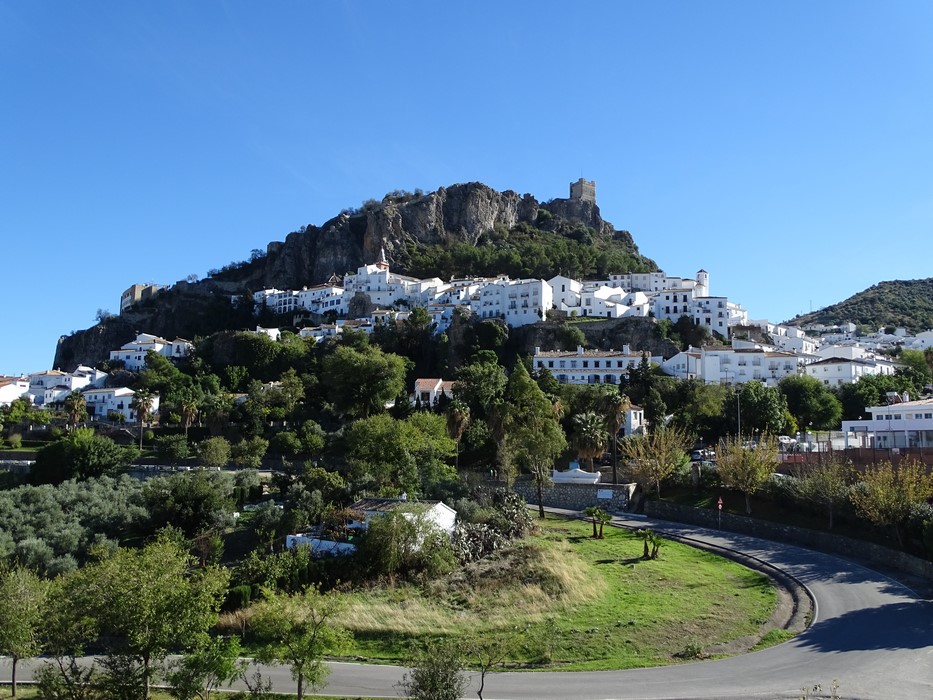 Zahara