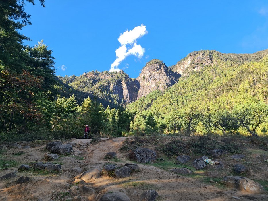 View