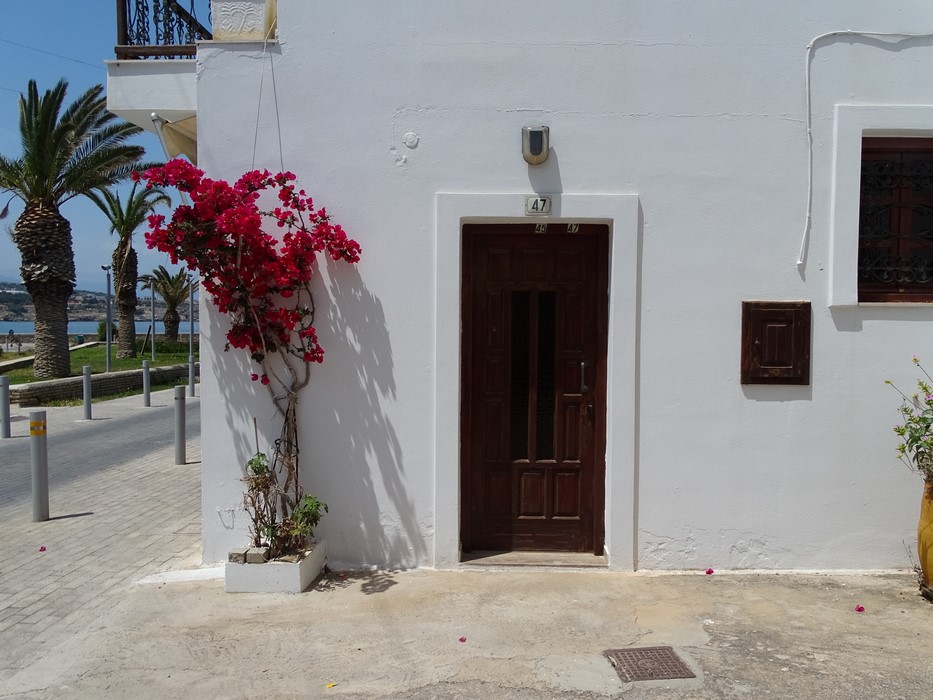 Flori in Grecia